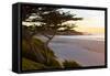 Carmel, California, cypress tree and waves at sunset on ocean, Pebble Beach-Bill Bachmann-Framed Stretched Canvas