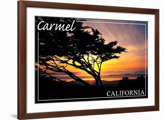 Carmel, California - Cypress Tree Silhouette --Lantern Press-Framed Premium Giclee Print