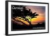 Carmel, California - Cypress Tree Silhouette --Lantern Press-Framed Art Print