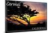 Carmel, California - Cypress Tree Silhouette --Lantern Press-Mounted Art Print