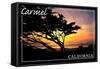 Carmel, California - Cypress Tree Silhouette --Lantern Press-Framed Stretched Canvas