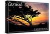 Carmel, California - Cypress Tree Silhouette --Lantern Press-Stretched Canvas