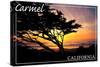 Carmel, California - Cypress Tree Silhouette --Lantern Press-Stretched Canvas