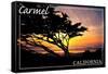 Carmel, California - Cypress Tree Silhouette --Lantern Press-Framed Stretched Canvas