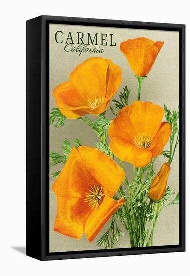 Carmel, California - State Flower - Poppy Flowers-Lantern Press-Framed Stretched Canvas