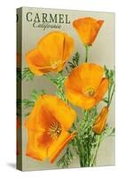 Carmel, California - State Flower - Poppy Flowers-Lantern Press-Stretched Canvas