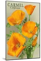 Carmel, California - State Flower - Poppy Flowers-Lantern Press-Mounted Art Print