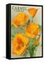 Carmel, California - State Flower - Poppy Flowers-Lantern Press-Framed Stretched Canvas