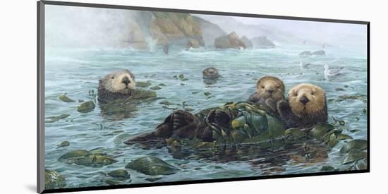 Carmel Coast Otters-John Dawson-Mounted Art Print