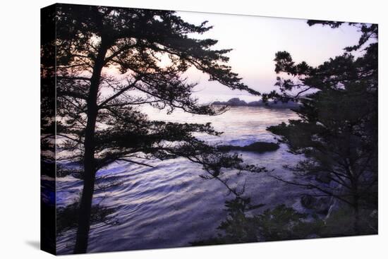 Carmel Highlands Sunset I-Alan Hausenflock-Stretched Canvas