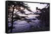 Carmel Highlands Sunset I-Alan Hausenflock-Framed Stretched Canvas