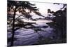 Carmel Highlands Sunset I-Alan Hausenflock-Mounted Photographic Print