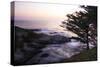 Carmel Highlands Sunset II-Alan Hausenflock-Stretched Canvas