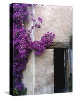 Carmel Mission, Carmel, California, USA-null-Stretched Canvas