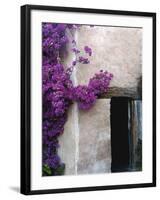 Carmel Mission, Carmel, California, USA-null-Framed Photographic Print