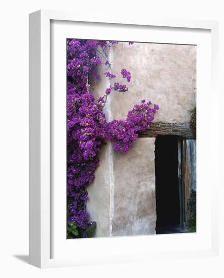 Carmel Mission, Carmel, California, USA-null-Framed Photographic Print