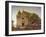 Carmel Mission-Sam Hyde Harris-Framed Art Print