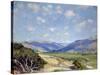 Carmel Valley-Guy Rose-Stretched Canvas