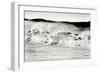 Carmel Waves II BW-Lee Peterson-Framed Premium Photographic Print