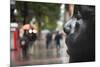 Carmen Awake street sculpture by Antonio Lopez, Bilbao, Biscay Province, Basque Country Region,...-null-Mounted Photographic Print