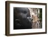 Carmen Awake street sculpture by Antonio Lopez, Bilbao, Biscay Province, Basque Country Region,...-null-Framed Photographic Print