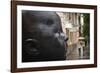 Carmen Awake street sculpture by Antonio Lopez, Bilbao, Biscay Province, Basque Country Region,...-null-Framed Photographic Print