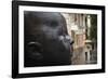 Carmen Awake street sculpture by Antonio Lopez, Bilbao, Biscay Province, Basque Country Region,...-null-Framed Photographic Print