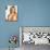 Carmen Electra-null-Photo displayed on a wall