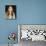 Carmen Electra-null-Mounted Photo displayed on a wall