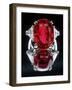 Carmen Lucia Ruby-null-Framed Photographic Print