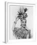 Carmen Miranda-null-Framed Photo