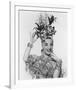 Carmen Miranda-null-Framed Photo