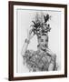 Carmen Miranda-null-Framed Photo