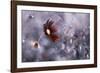 Carmen-Fabien BRAVIN-Framed Photographic Print