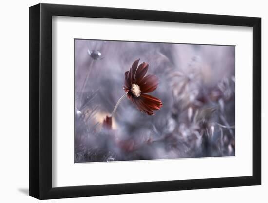 Carmen-Fabien BRAVIN-Framed Photographic Print