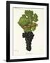 Carmenere Grape-J. Troncy-Framed Giclee Print