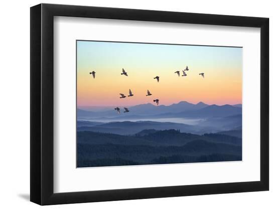 Premium Photographic Print, , large