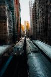 Chicago skyline-Carmine Chiriacò-Photographic Print