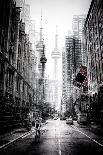 Chicago skyline-Carmine Chiriacò-Photographic Print