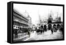 Framed Canvas