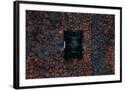 Chelsea Black
