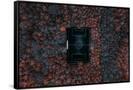 Canvas Black
