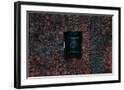 Chelsea Black