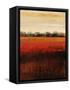 Carmine Feild-Tim O'toole-Framed Stretched Canvas