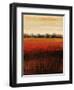 Carmine Feild-Tim O'toole-Framed Giclee Print