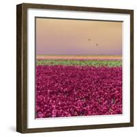 Carmine Tulip Field-Cora Niele-Framed Giclee Print