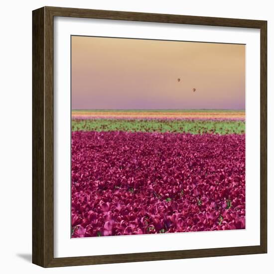 Carmine Tulip Field-Cora Niele-Framed Giclee Print