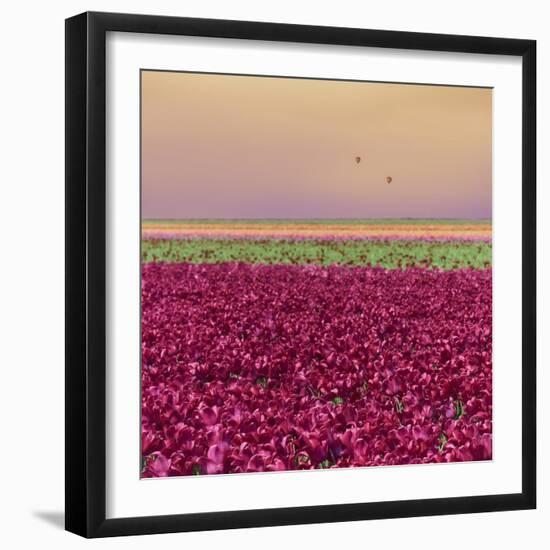 Carmine Tulip Field-Cora Niele-Framed Giclee Print