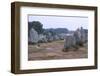 Carnac Alignments, Brittany, France, c20th century-CM Dixon-Framed Photographic Print