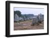 Carnac Alignments, Brittany, France, c20th century-CM Dixon-Framed Photographic Print